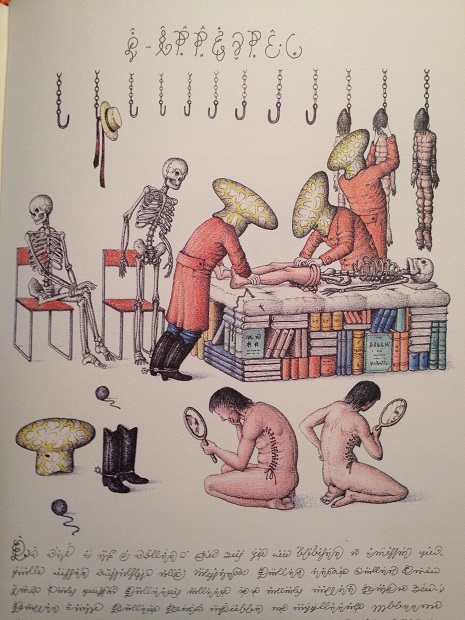 Codex Seraphinianus: A new edition of the strangest book in the world 19