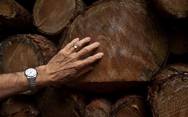 Bad luck really can be reversed by touching wood ritual, say scientists 1