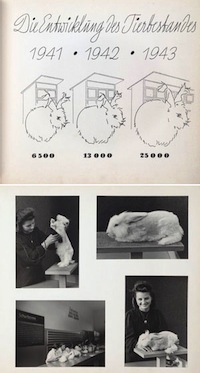 The Nazis’ Bizarre Plan To Breed Giant Angora Rabbits 40