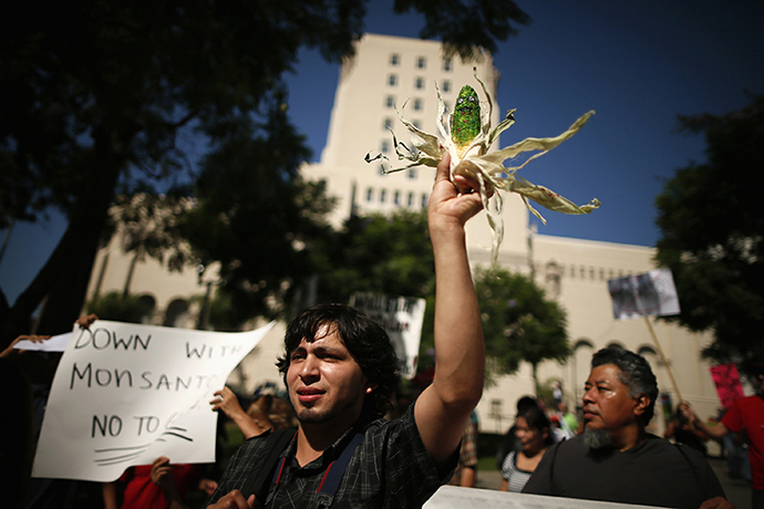 A man holds painted ear of corn during one of many worldwide "March Against Monsanto" protests against GMOs and agro-chemicals, in Los Angeles