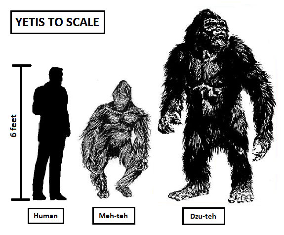 Yetis, Polar Bears, Snowmen, Snow Bears, Dzu-Tehs, and Jumping To Abominable Conclusions 1