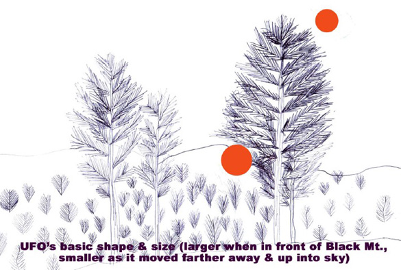 Mrs. Langin's drawing showing both the primary shape of the bizarre light & how its size diminished somewhat as it "floated" upward behind the spruce tree & into the early morning sky.