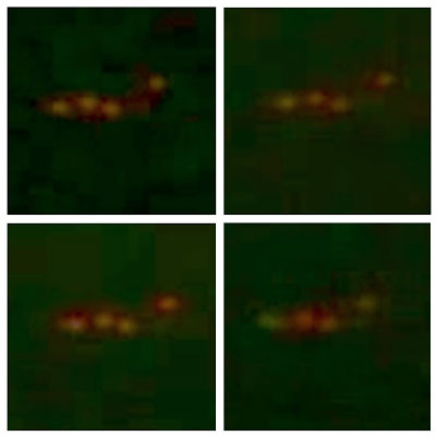 UFO: Alien-like spacecraft appears near International Space Station 35