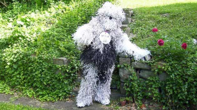 Pittsburgh Man Thinks He's a Dog, Goes By Name 'Boomer' 15