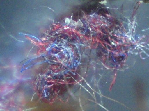 France: Mystery fibres drop from sky 1