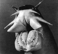Bizarre Animals You Probably Didn't Know Exist 28