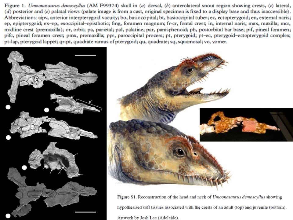 Scott Mardis' Plesiosaur Paradigm And Some "Horned" "Sea Serpents" 14