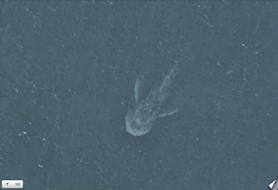 Another Strange Satellite Image 17