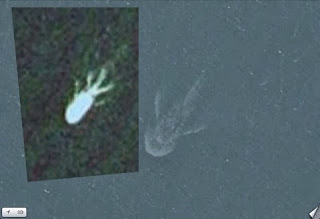 Another Strange Satellite Image 19