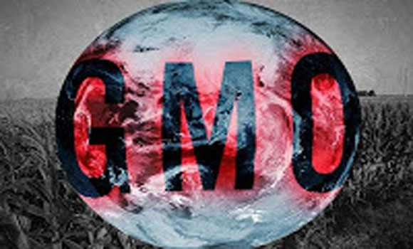 From Zyklon B to GM corn: How GMOs transformed food into a globalist weapon 17