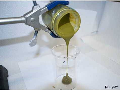 Scientists manufacture bio-fuel from algae in minutes 13