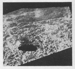 arg_45a