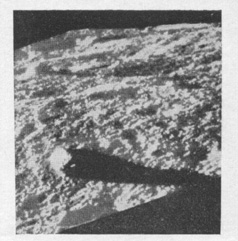 arg_45b