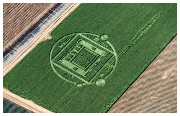 Elaborate crop circle discovered on Californian farm 19