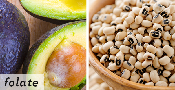 Folate_604 Folate_604