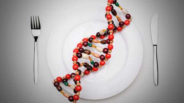 Confirmed: DNA From Genetically Modified Crops Can Be Transferred Into Humans Who Eat Them 1