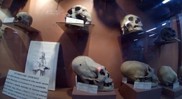 Video: Newly Discovered Nephilim Proof! Secretly Filmed In Boliva!! 12