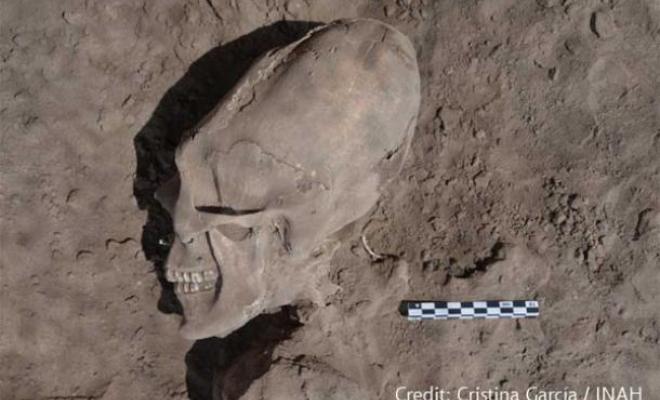 The 13 Alien-Like Skulls Found in Mexico 9