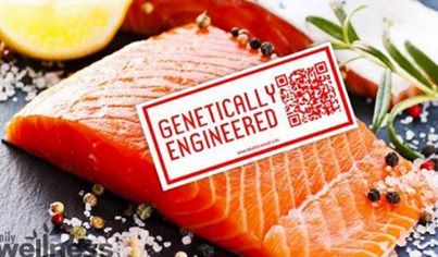 1010019_10154252068655355_565337636_n