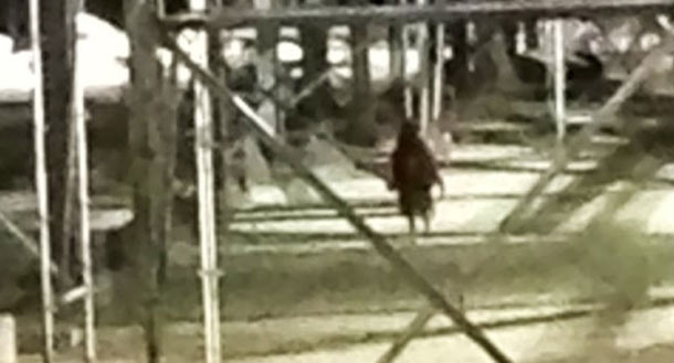 Another Look at the Gas Plant Entity 9