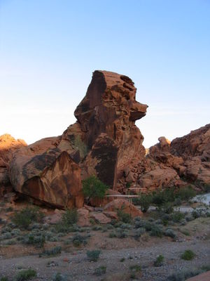 Click to enlarge Reptilian humanoid startles bikers in the Sonoran Desert, Arizona 2