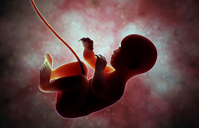 Intuitions of Our Immortality: Visions of Life Before Conception 13