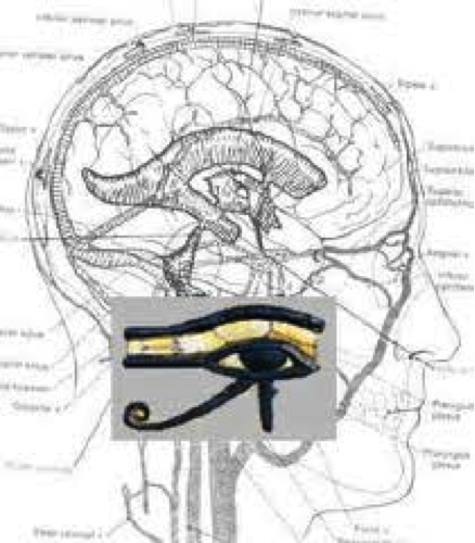 Pineal-Horus-2 Pineal-Horus-2