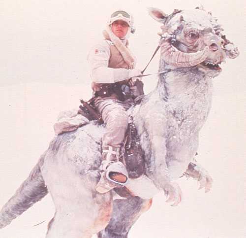 Star Wars VII 'will return to ice planet Hoth' 1