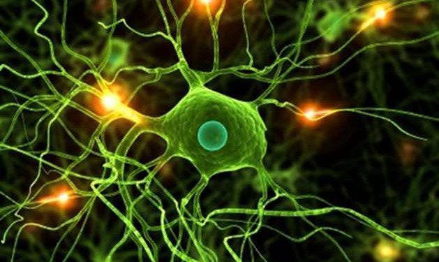 People Can Draw Energy From Other People The Same Way Plants Do 10