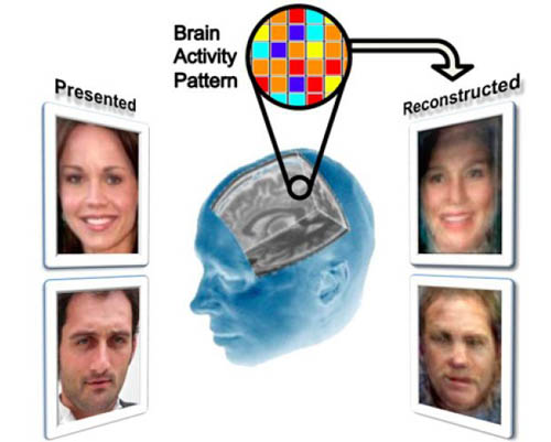 We Know What You’re Thinking: Scientists Find a Way to Read Minds 7
