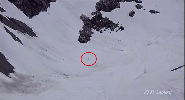 Watch This: New Video of Possible Bigfoot Filmed Near Squamish, British Columbia 3