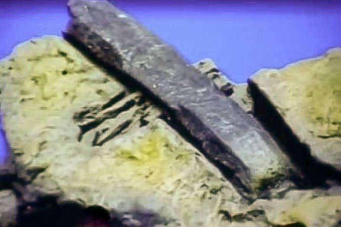 Out of Place in Time: Was This Hammer Made 100 Million Years Ago? 57