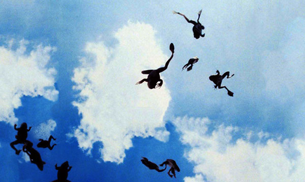 Raining Frogs & Fish: A Whirlwind of Theories 18