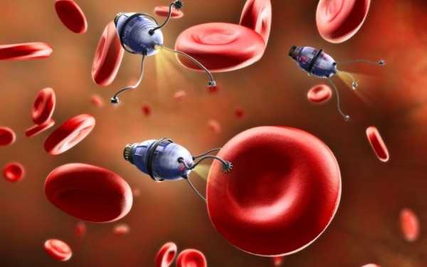 DNA nanobots deliver drugs in living cockroaches 15