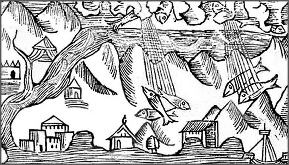 strange weather, raining fish