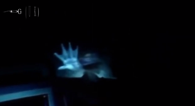 Did Marine Geologists Capture This Video Footage of an Aquatic Humanoid or Mermaid? 12