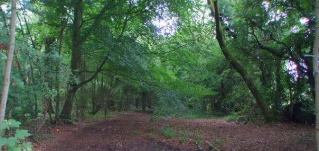 Campers encounter real-life 'Blair Witch' 1