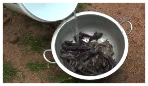 Fish rain down on Sri Lanka village 16