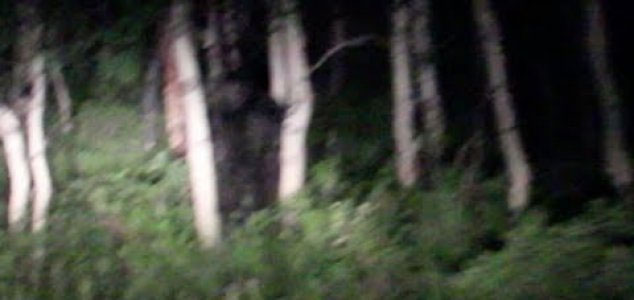 Couple encounter 'Bigfoot' on road at night 27