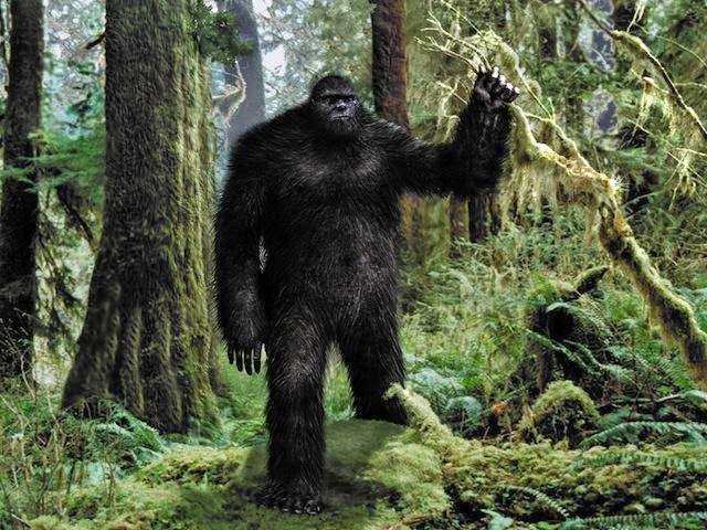 Alaska Sasquatch Encounters 21