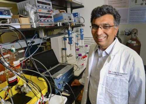 Scientists create new battery that's cheap, clean, rechargeable... and organic 1