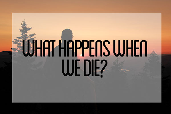 What Happens When You Die: The Afterlife Revealed Through Near Death Experiences: 1