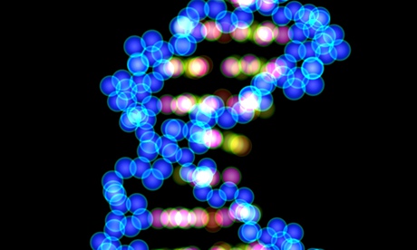 Less than 10% of our DNA has functional role 1