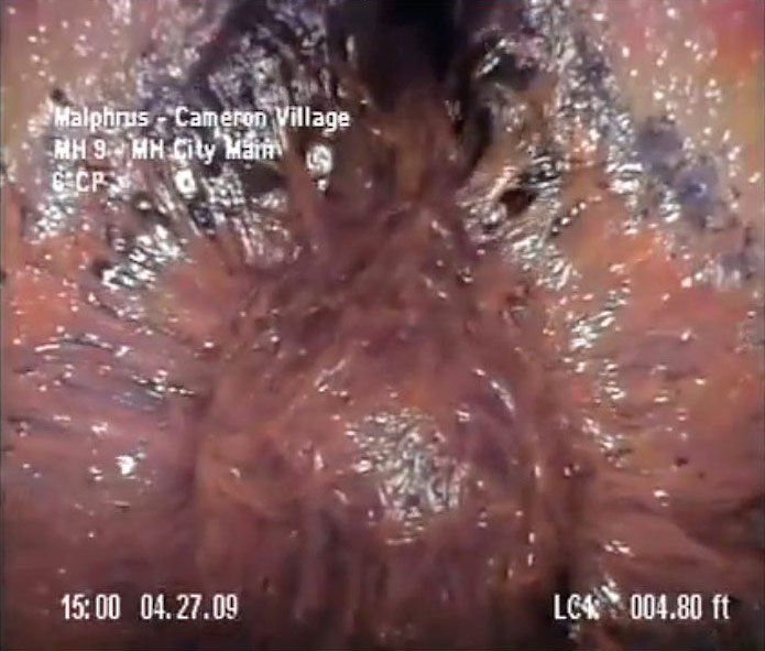 Gross Video From North Carolina Sewer Shows Slimy Mutant Sacs 20