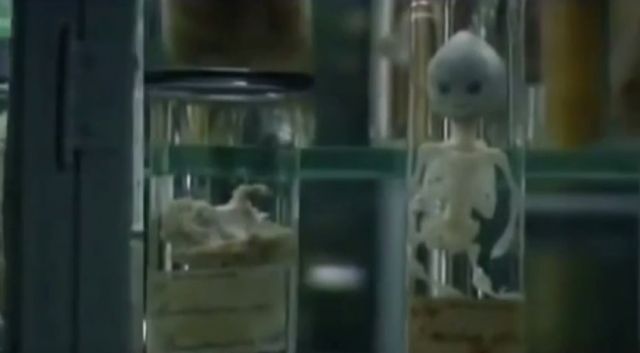 Horrifying Human Animal DNA Experiments – Transhumanism & Hybrids – Mind Blowing Video And Images 14