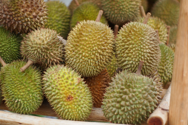 12 of the World’s Strangest Health Foods You Probably Haven’t Tried 34