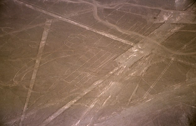 The largest geoglyph is a 935ft-long (285 metre) pelican (pictured). Most of the lines are formed by a shallow trench with a depth of between four inches (10cm) and six inches (15cm), made by removing the iron oxide-coated pebbles that cover the surface of the Nazca desert to expose the light-coloured earth beneath