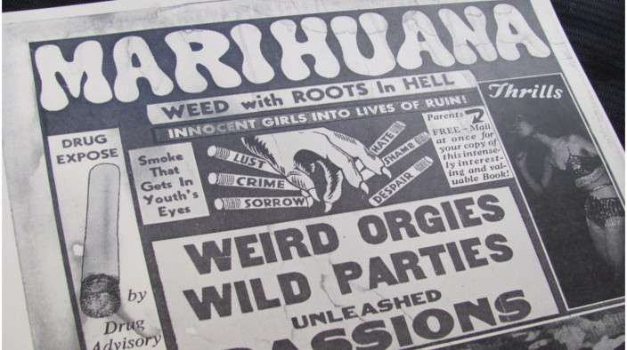 The Cannabis Conspiracy 19