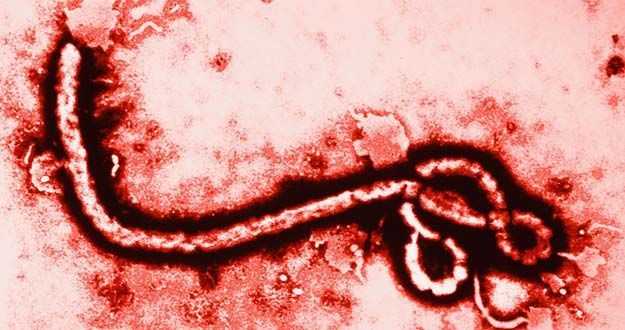 Ebola - What you're not being told 9