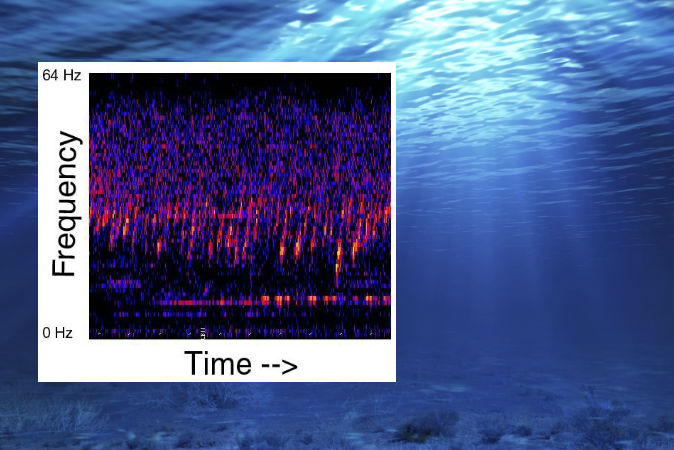 A Strange Sound Has Permeated the Pacific Ocean Since 1991 3